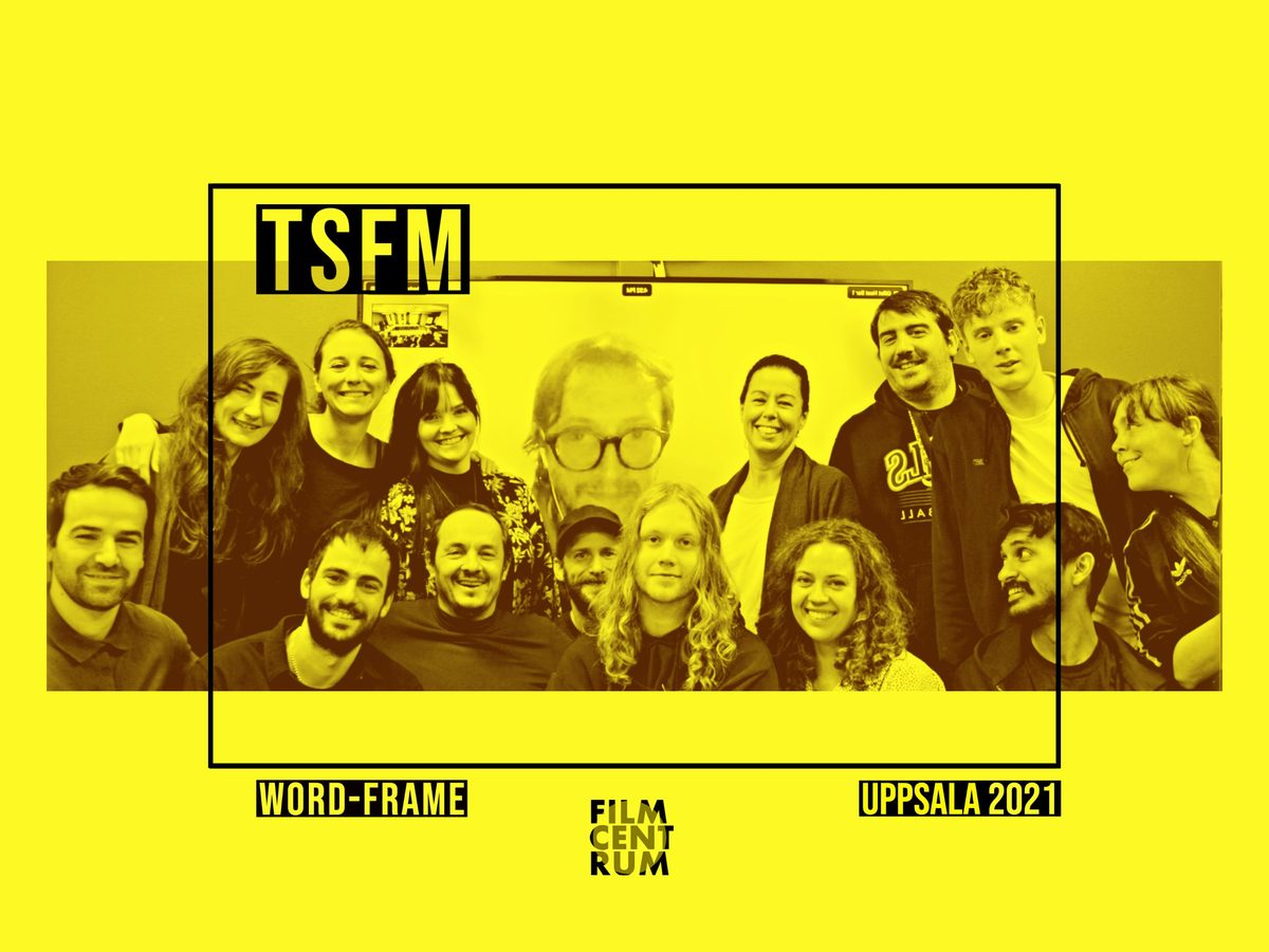 Gruppbild av deltagarna i TSFM Word-Frame i Uppsala 2021